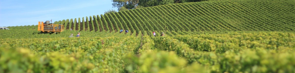 Château Bahans Haut-Brion