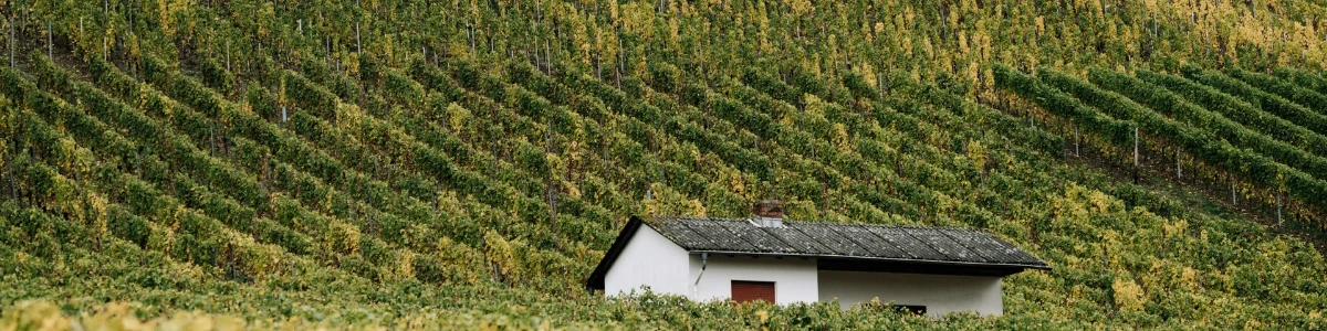 Cantine Fontanafredda