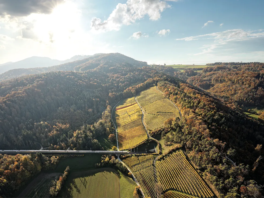 Weinpassion für die Schweiz.