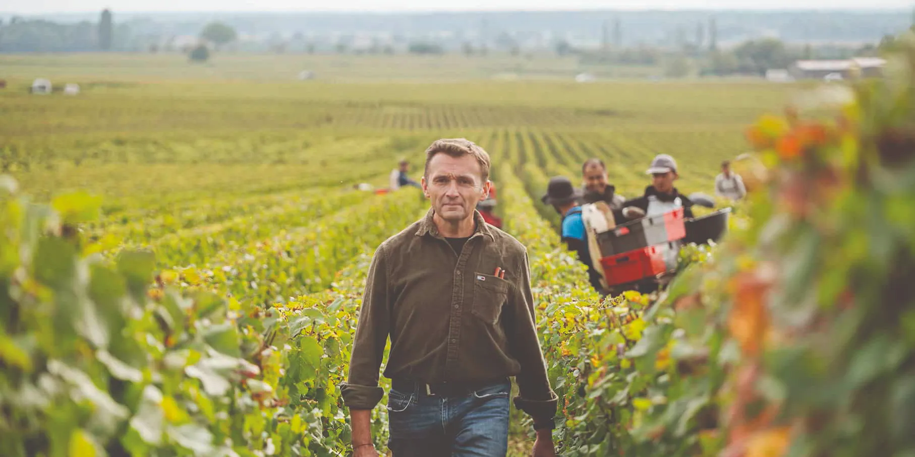 Domaine Pierre Vincent