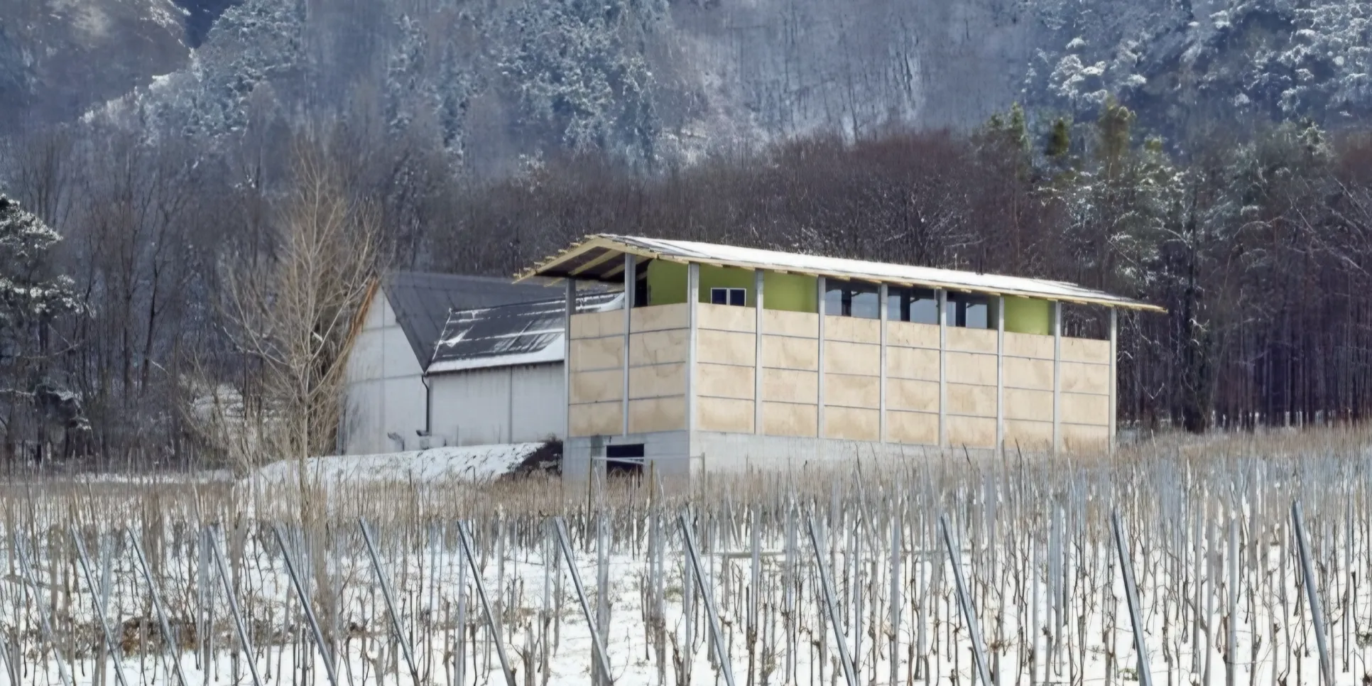 rotwein