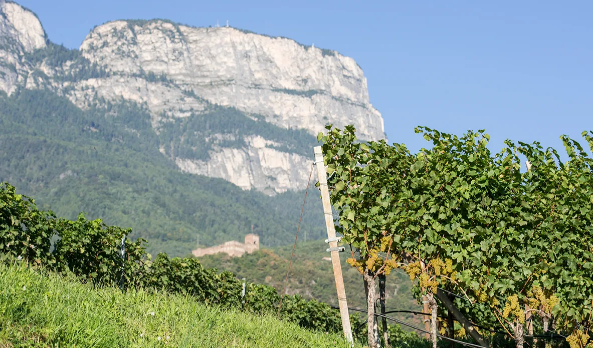 Die Berglagen in St. Pauls mit Blick auf den Gantkofel