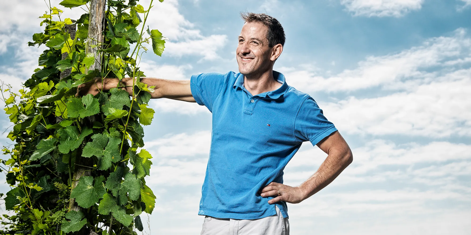 rotwein