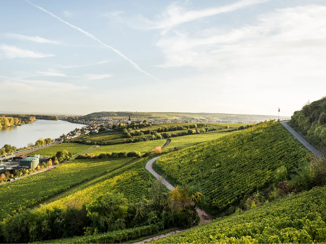 Weinpassion für Deutschland: 2023/2024