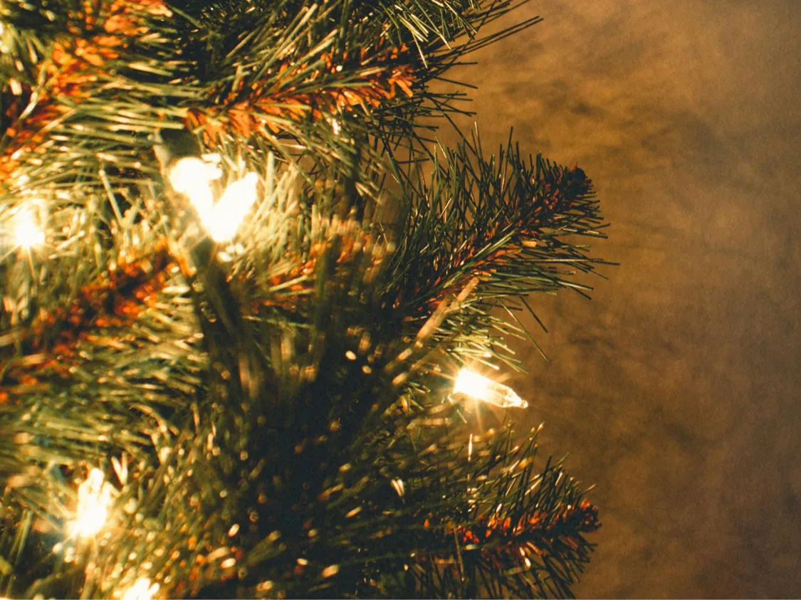 Festliche Weine zum Geniessen und Verschenken.