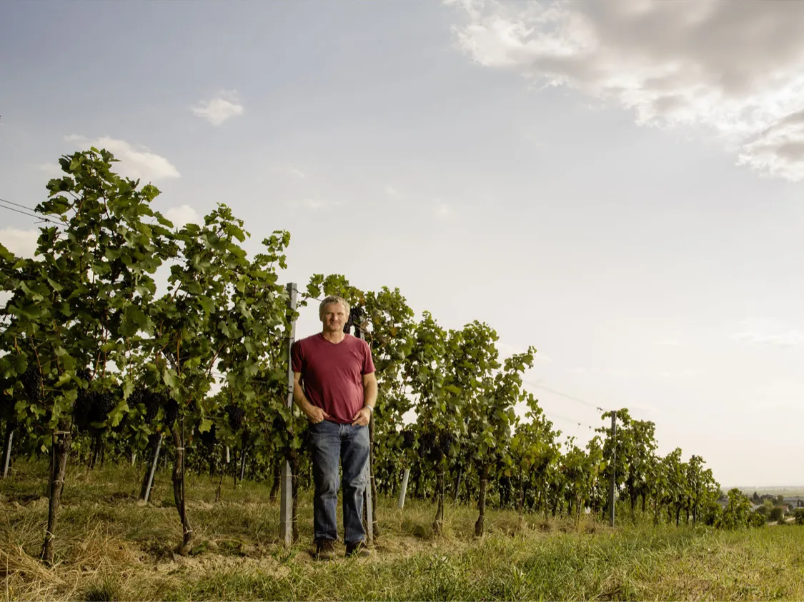 Rotwein des Jahres 2026: «MACHSIMUM» von Paul Achs.