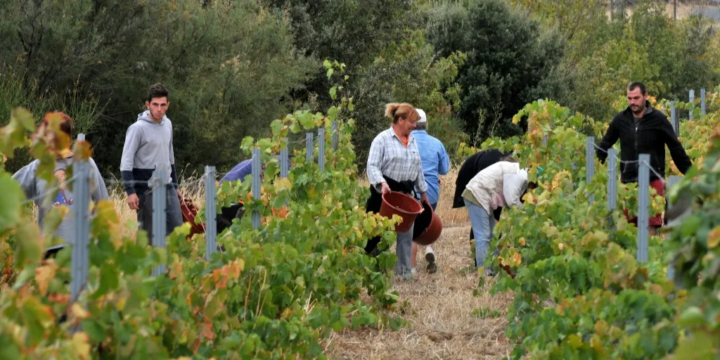 Domaine Ancely Bernard