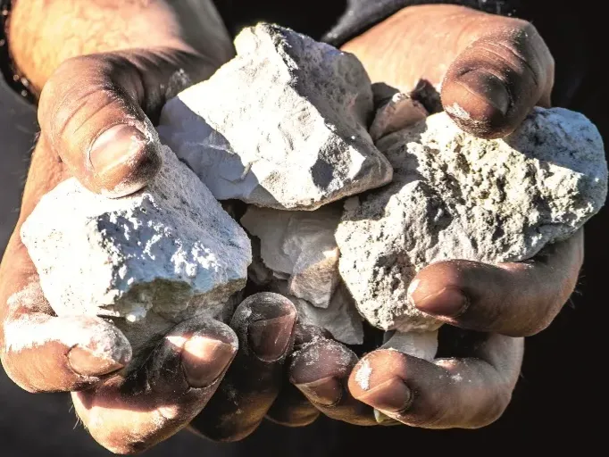 Chardonnay: die Terroir-Botschafterin.