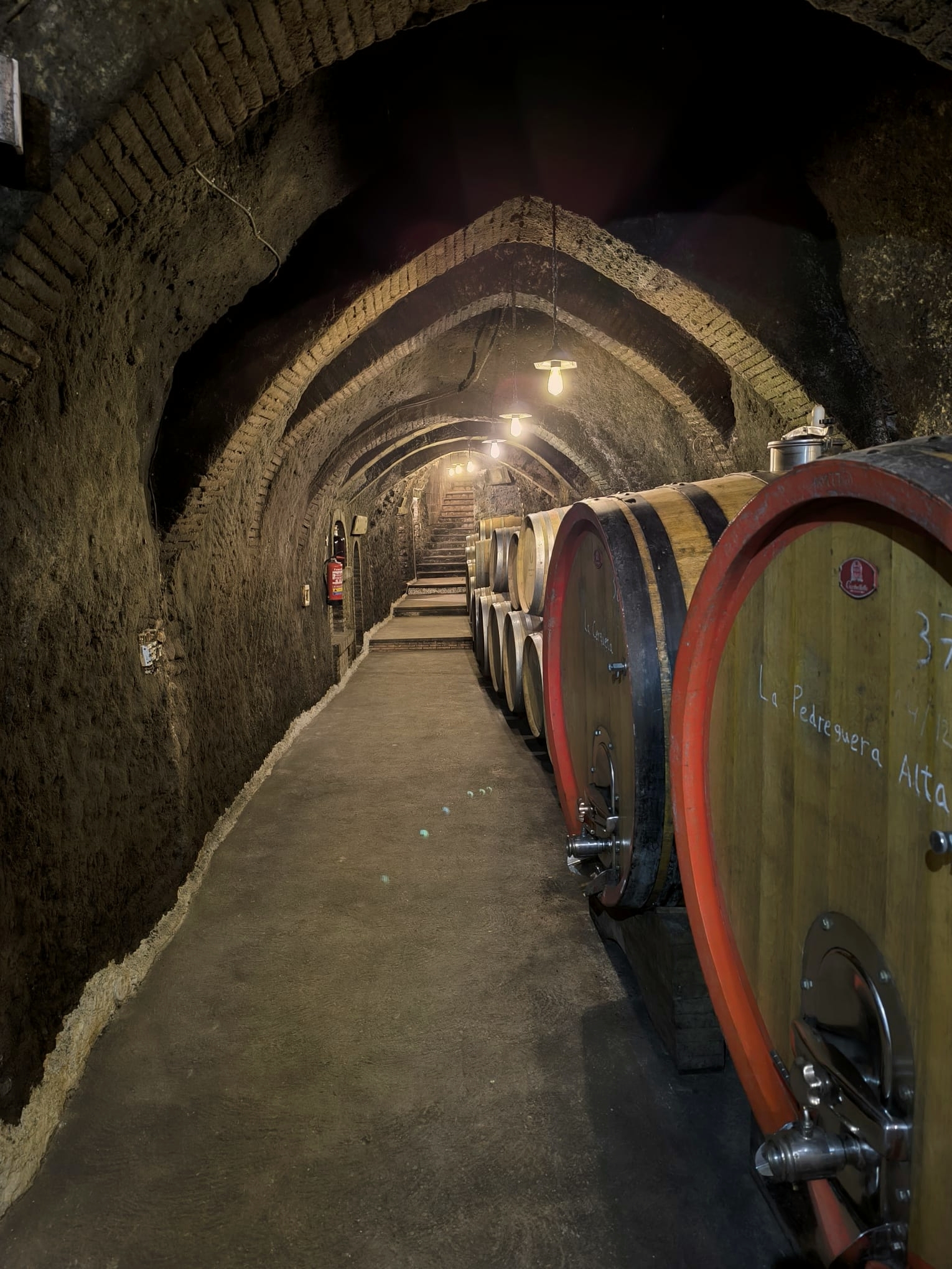 Der Frontonio-Keller