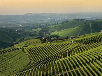Piemont Arrivage 2019/20