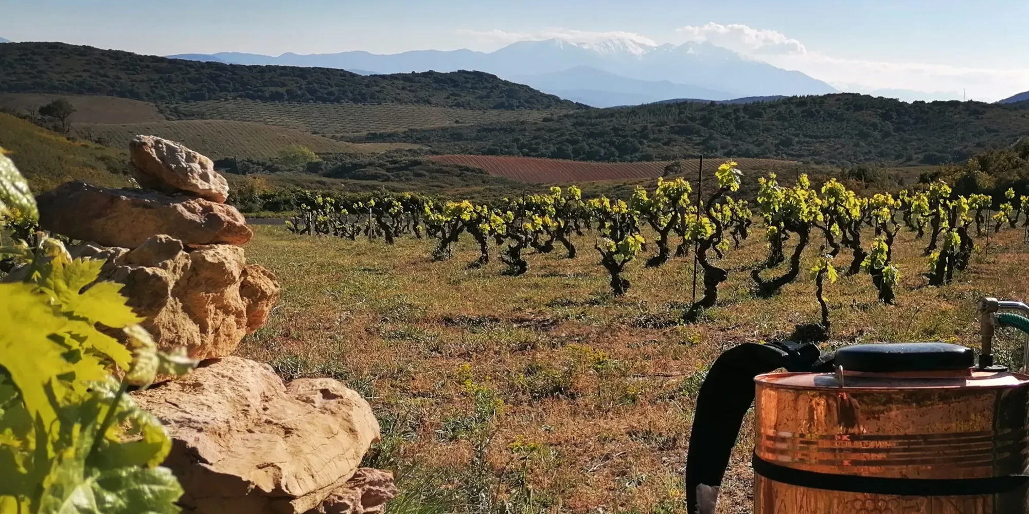 Domaine de l’Horizon