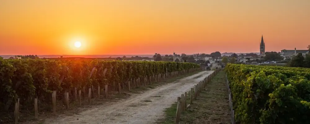 Bordeaux Jahrgänge ab 1982