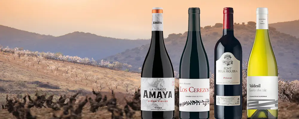 Weinpassion für Spanien: Spitzenweine aus Rioja, Priorat & Co. 