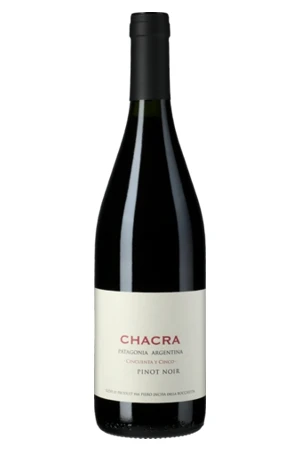 Rotwein, Cincuenta y Cinco, 2022, Bodega Chacra