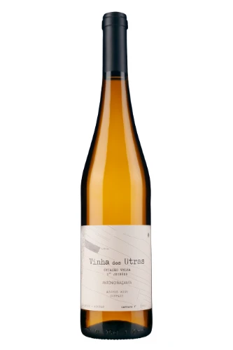 Weisswein, Vinha dos Utras, 2022, Azores Wine Company