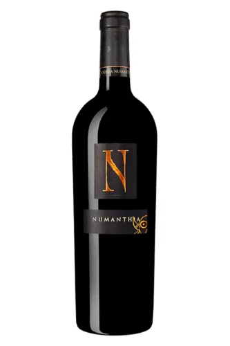 Rotwein, Numanthia, 2020, Bodega Numanthia