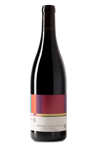 Rotwein, Blauburgunder Schnellberg, 2022, Michael Broger