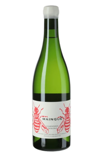 Weisswein, Mainque Chardonnay, 2024, Bodega Chacra