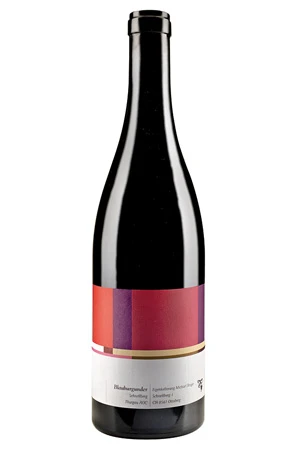 Rotwein, Blauburgunder Schnellberg, 2021, Michael Broger