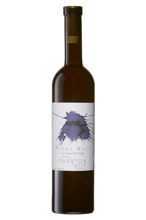 Rotwein, Pinot Noir, 2019, Chanton Weine