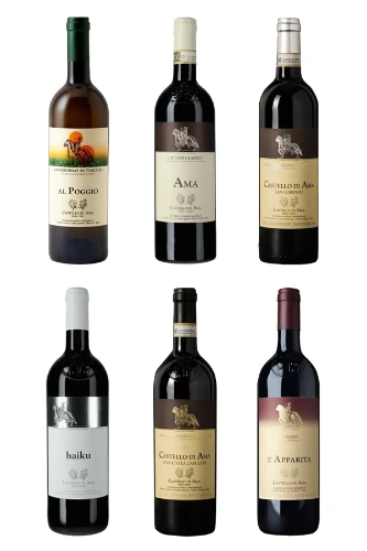 Castello di Ama - das Vorzeige- und Kultweingut aus der Toscana