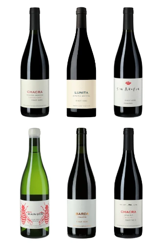 Chacra - Das Überflieger Weingut aus Patagonien