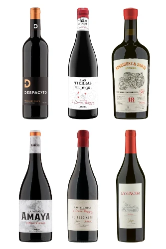 Die genialen Weine von Javier Rodríguez