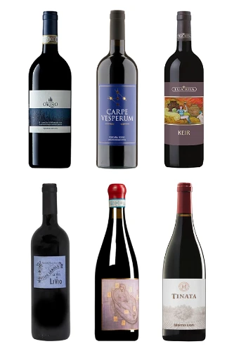 Die grossen Weine der Toscana