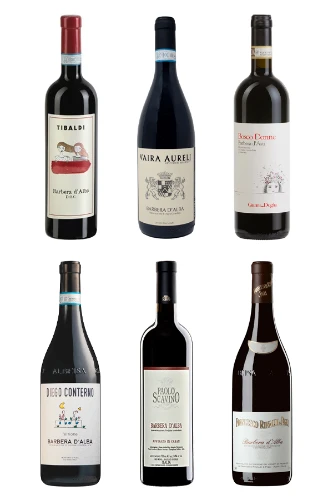 Eine Reise durch die Barbera Welt