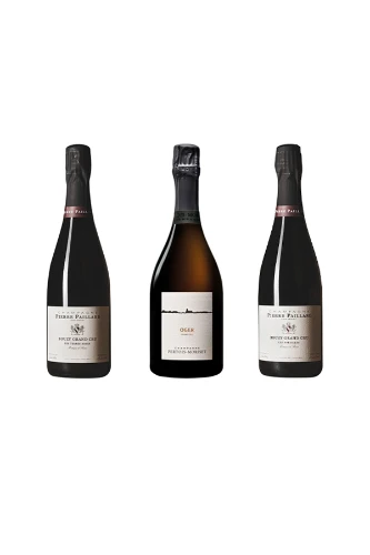 Tiefgründige Grand Cru Champagner
