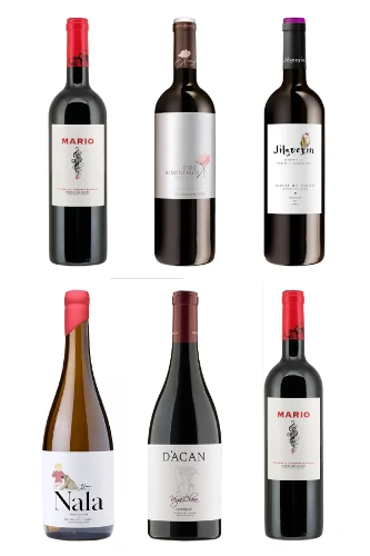 Vega Clara: Die Macherin des Marios überzeugt auf der ganzen Linie