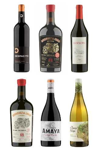 Winzer-Magier Javier Rodríguez