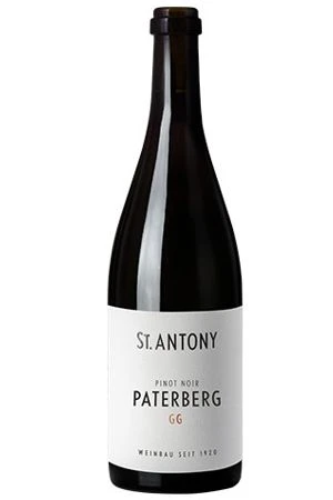 Rotwein, Nierstein Paterberg Pinot Noir Grosses Gewächs, 2022, Weingut St. Antony