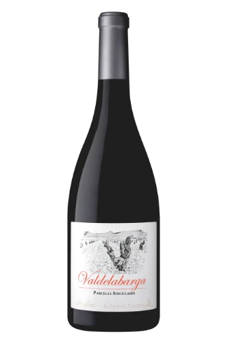 Rotwein, Valdelabarga, 2021, El Escoces Volante