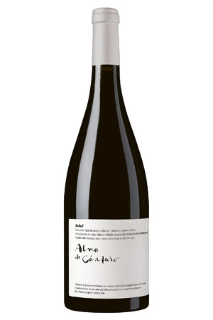 Rotwein, Alma de Cántaro Bobal, 2020, Magna Vides