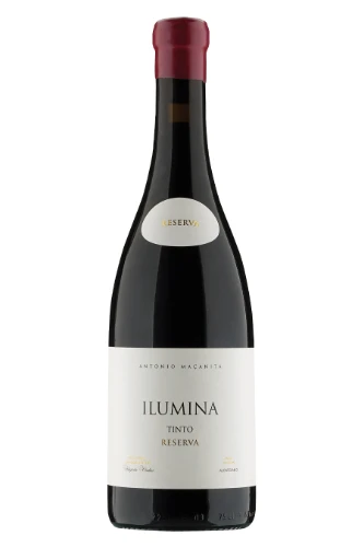 Rotwein, Ilumina Reserva Tinto, 2022, Fitapreta