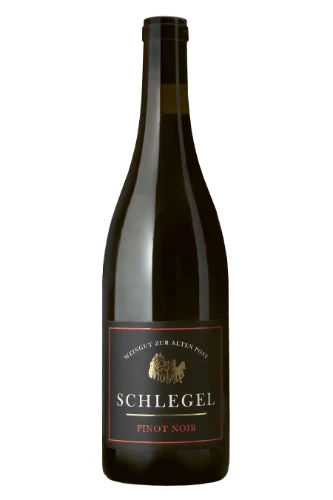 Rotwein, Jenins Pinot Noir, 2024, Georg Schlegel - Weingut zur Alten Post