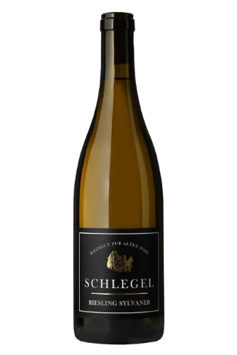 Weisswein, Riesling-Silvaner, 2024, Georg Schlegel - Weingut zur Alten Post