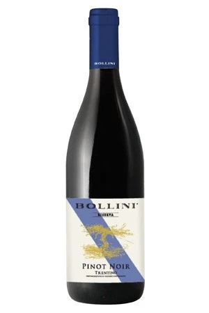 Rotwein, Pinot Noir, 2020, Bollini