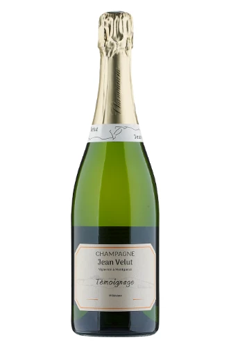 Schaumwein, Témoignage, 2015, Jean Velut