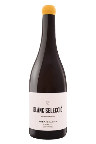 Weisswein, Blanc Selecció, 2024, Josep Foraster