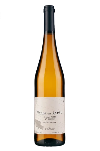 Weisswein, Vinha dos Aards, 2020, Azores Wine Company