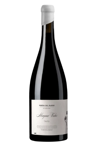 Rotwein, Magna Vides Tinto, 2023, Magna Vides