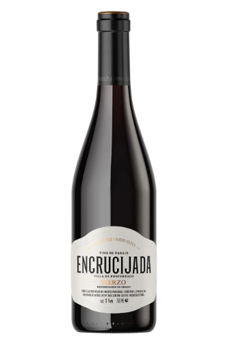 Rotwein, Encrucijada, 2021, Michelini i Mufatto