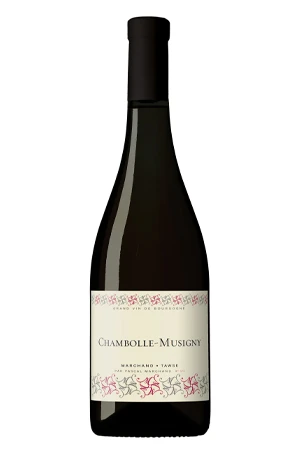 Rotwein, Chambolle-Musigny, 2020, Marchand Tawse