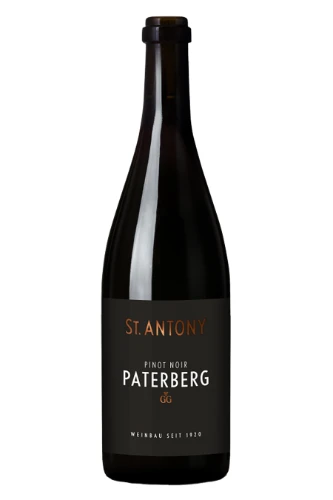 Rotwein, Nierstein Paterberg Pinot Noir Grosses Gewächs, 2022, Weingut St. Antony