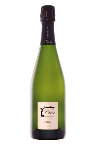 Schaumwein, Chloé, Vincent Couche
