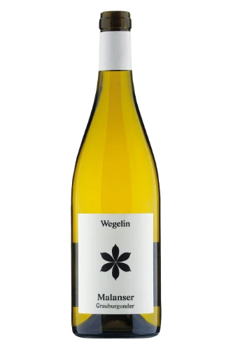 Weisswein, Malanser Grauburgunder, 2023, Weingut Wegelin