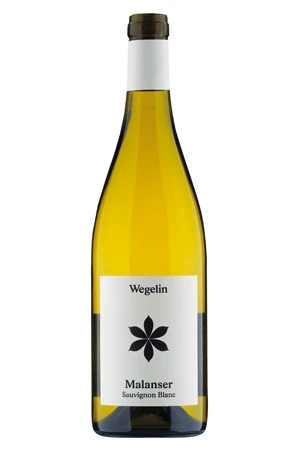 Weisswein, Malanser Sauvignon Blanc, 2023, Weingut Wegelin