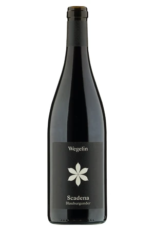 Rotwein, Scadena Blauburgunder, 2020, Weingut Wegelin